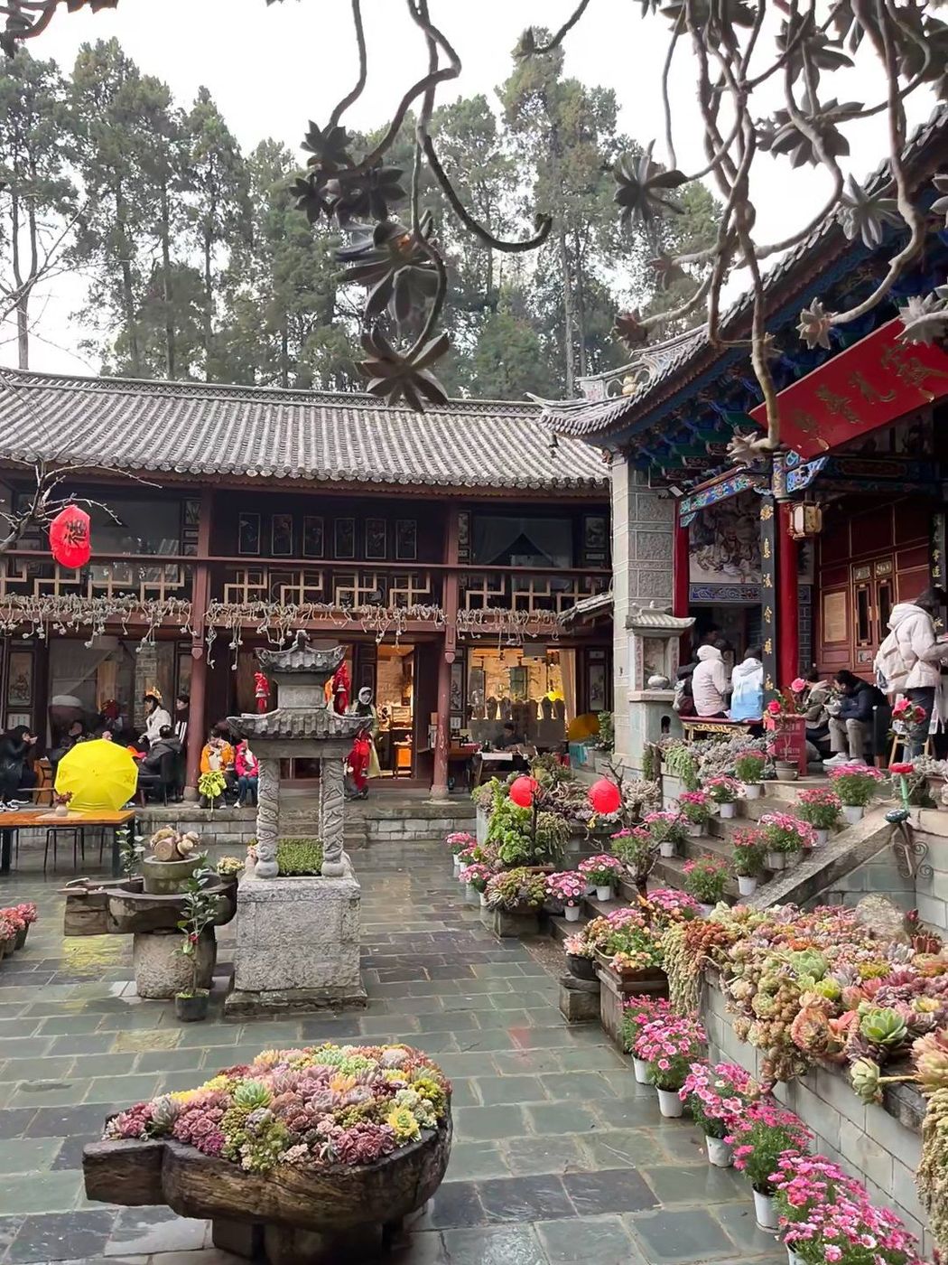 寂照庵 3