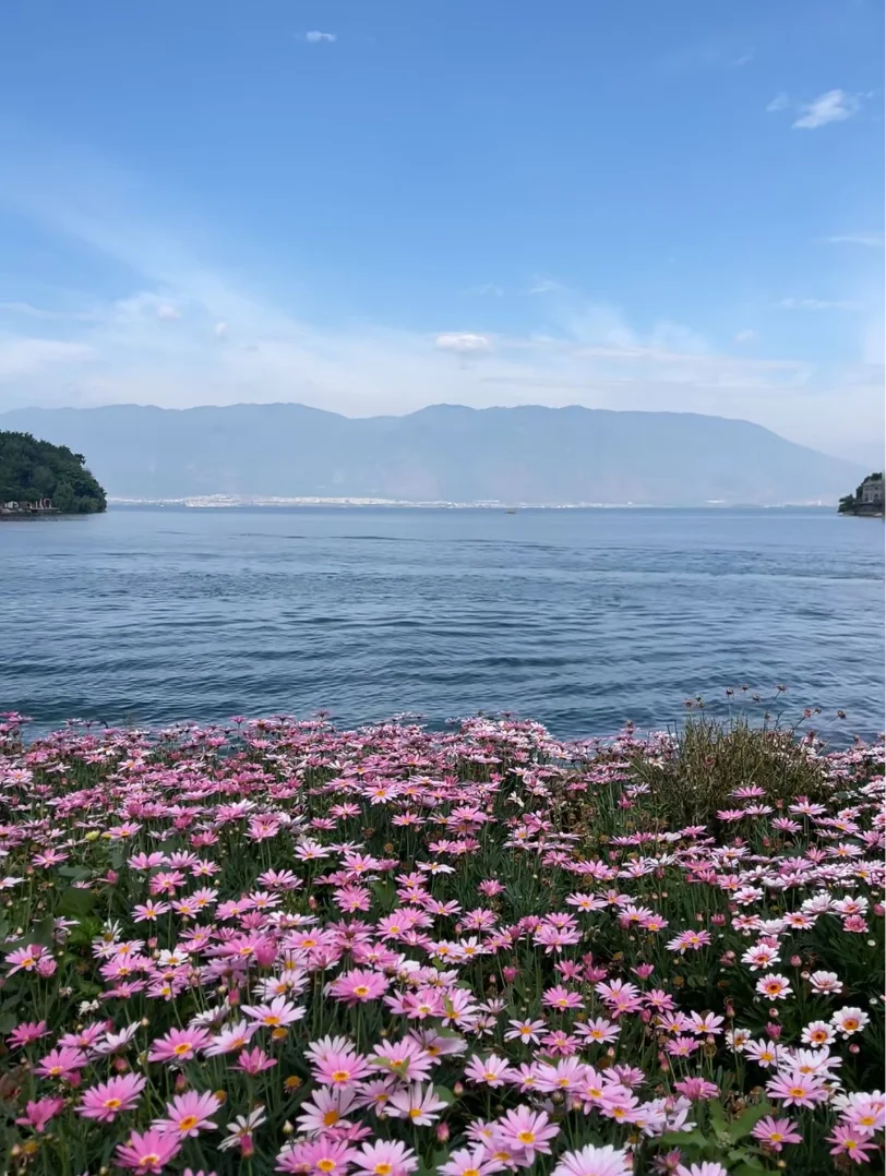 海街