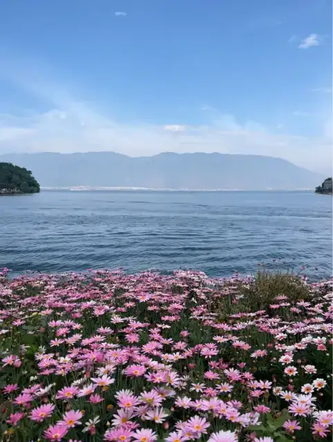 海街